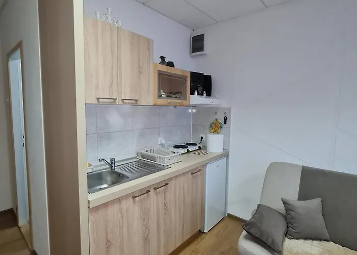 Colovic アパート *