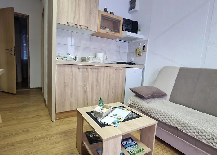 アパート Colovic *